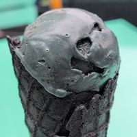 Black ash coconut ice cream in a black ash coconut chia seed cone at The Greenery Creamery  in Orlando