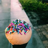 Cookie Butter Vegan ice cream with a vegan vanilla activated charcoal cone!  at The Greenery Creamery  in Orlando
