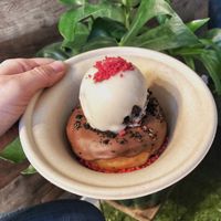 Vegan chocolate chip ice cream / donut pairing with cranberry sprinkles  at The Greenery Creamery  in Orlando
