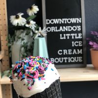 Butterbeer vegan ice cream, vegan charcoal cone, sprankles  at The Greenery Creamery  in Orlando