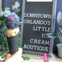 Black ash coconut & speculoos  at The Greenery Creamery  in Orlando