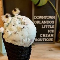 Mint stracciatella on a black ash cone at The Greenery Creamery  in Orlando