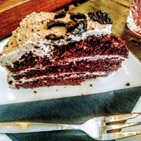  at BACKYARD in Rotterdam