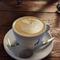 Oat cappuccino at BACKYARD in Rotterdam