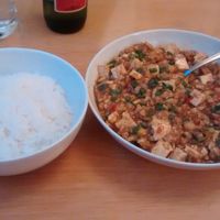 Spicy Sichuan tofu dish made with chili bean sauce, garlic, ginger, spring onions, vegetarian minced “meat”, and Sichuan pepper at Lao Wai in Stockholm