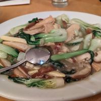 Tofu and mushrooms - Qing Hui Bai Ye at Lao Wai in Stockholm