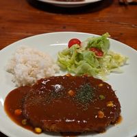 Full tonkassu set plate at Hyangjeok Won - 향적원 in Gyeongju