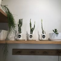 Nice decor  at Verd in Manly