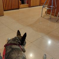  at Luscofusco in Ourense