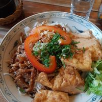 Main no. 64 (wok fried seitan and tofu, glass noodles, salad) at Viet Village in Halle