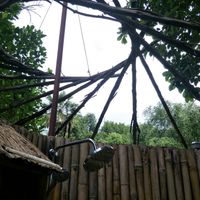 Shower in the nature at Suan Sati in Chiang Mai