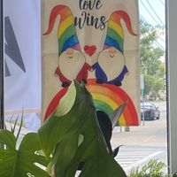 Window decor  at Eden Cafe & Bakeshop in Batavia