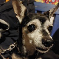  at Mr Blou I Love You in Amsterdam