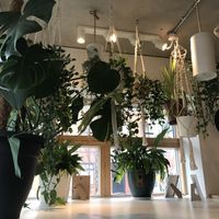   at Kale+Coco in Dublin