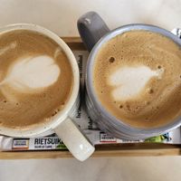  at Healthful in Rotterdam