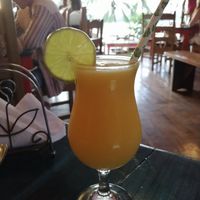  at Stashus Con Fusion in Puerto Viejo De Talamanca