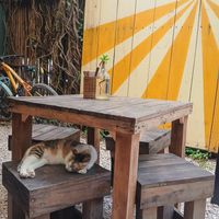  at Bonita Tulum in Tulum