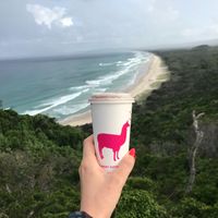 Lovely coffee cups at Sunday Sustainable Bakery in Byron Bay