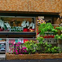Location from the outside at Swell Bowls in Tokyo