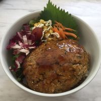 Locomocodon at Swell Bowls in Tokyo