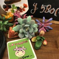 Yay Happy Cow stickers at Swell Bowls in Tokyo