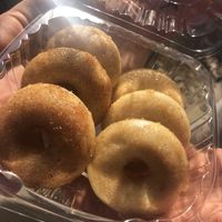 Cinnamon & sugar donuts  at Black Squirrel Bake Shop in Madison