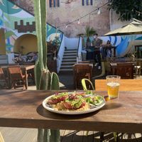 Beetroot Burger, daily special at Raiz in Sintra