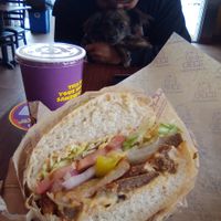 Helen Keller vegan bbq steak sandwich at Ike's Love & Sandwiches in Santa Cruz
