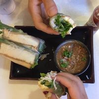 Tofu spring rolls  at House of Ramen in Portland