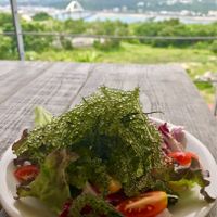 Sea grape salad with a view~ at Pizzaria Ukauka in Okinawa