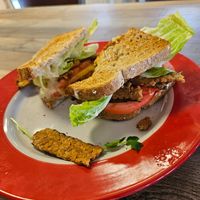 Tlt at Common Roots Cafe in Rye