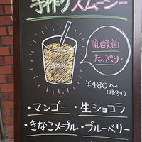 Smoothie Flavors (Mango, Kinako Maple, Green Tea w/ brown sugar, Chocolate, Blueberry, Plum-Cranberry) at Branma in Kobe