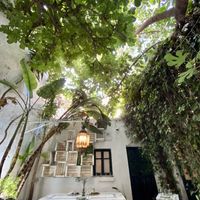 The green patio  at El Escondite de Conil - Maybe closed in Conil De La Frontera