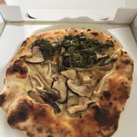 White pizza (no white sauce) with picked brocolli leaves, garlic and mushrooms at Crust  in Abersoch