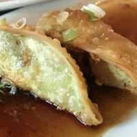 Gyoza - photo taken after eating several pieces! at Sushi Loku in Vancouver