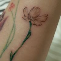 Buttercup ~ 8/3/21 at Vagabond Ink Tattoo in Central Singapore