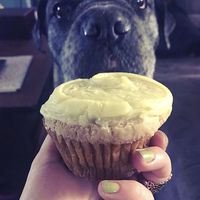 Lemon Cupcake at Pattycake Bakery in Columbus