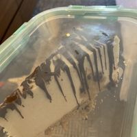 Chocolate chip cookie dough cheesecake in Pyrex deposit container - will bring back tomorrow for the $5 refund.  Great sustainable option! at Moku Roots in Kula