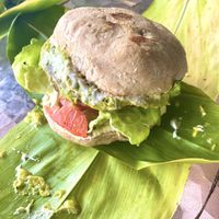 Taro Burger with avocado 🥑   at Moku Roots in Kula