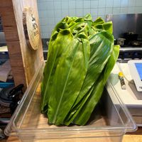 Banana leaf for a to go box!  at Moku Roots in Kula