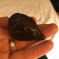 Vegan mouse at Firetype Chocolate in Northampton