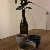 Sake tasting at Ka Vegan Udon & Sushi in Krakow