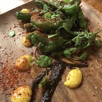 Local Shishitos at Sorghum & Salt in Charleston