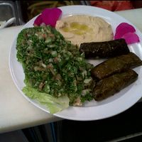 Sample Platter  at Mediterranean Cuisine in Virginia Beach