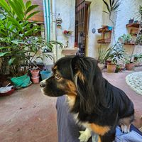  at Hostal Patio de 27 in Havana