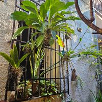  at Hostal Patio de 27 in Havana