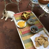 Melina cat, homegrown bananas, seeds, and dried fruits, bread. at Hostal Patio de 27 in Havana