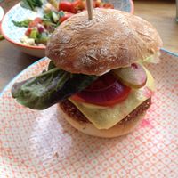 Falafel burger at Vegetus in Cheltenham