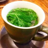 Real mint tea at Vegetus in Cheltenham