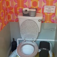 Most disco toilet I've ever seen. at Cranberry Swamp in Whitby